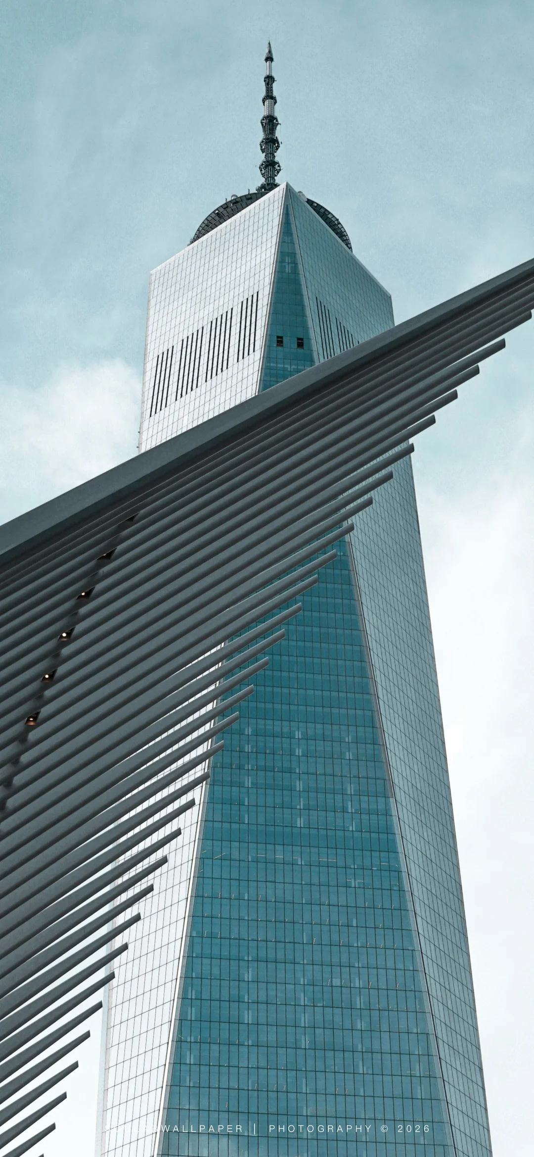 橙色天空3